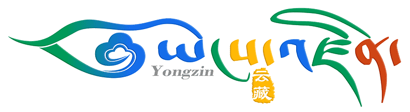 yongzin.logo